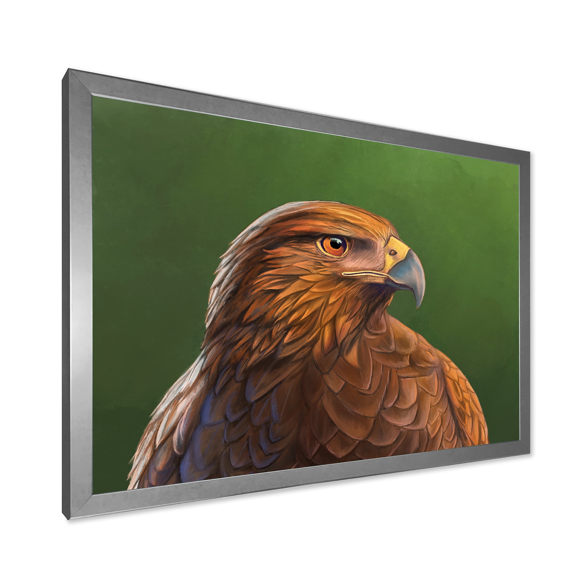 Designart 'Close UP Of Harris Hawk Bird' Traditional Framed Art Print