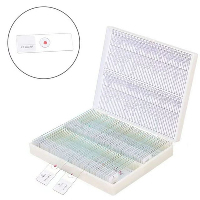Lefu Toboggans pour Enfants en Forme de microscope, Accessoires de microscope, Toboggans pour Préparation de Verre