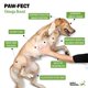 thumbnail image 4 of Suplemento de aceite de pescado para perros Deley Naturals Icelandic Omega 3-6-9, 4 of 7