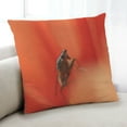 thumbnail image 1 of Ahgly Company Color Focus Red Coussin Intérieur, 18 Pouces par 18 Pouces, 1 of 6