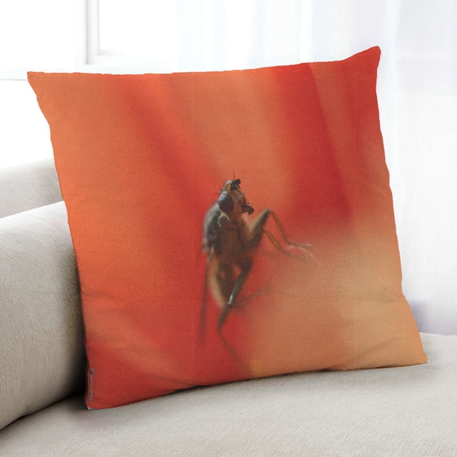 Ahgly Company Color Focus Red Coussin Intérieur, 18 Pouces par 18 Pouces