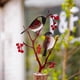 thumbnail image 4 of Yard Sign Stake Bird Decorative Garden Stakes,Lawn Decorations,C, 4 of 5
