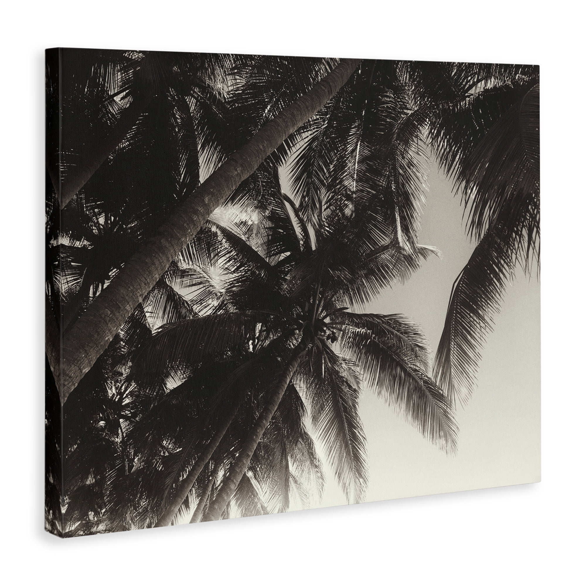 Stupell Industries Dark Palm Leaves Botanical & Floral Photography Gallery Wrapped Canvas Art Print Wall Art, 30 x 24