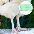 thumbnail image 3 of BRIGHTFUFU Anillos de marcado de pollo de 100 piezas Bandas de identificación de pie de pollo loro numeradas (verde), 3 of 7