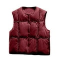 thumbnail image 1 of Ailaofu Women's Puffer Vest Lightweight No Collar Zip Puffy Vests Sleeveless Quilted Padded Outerwear, 1 of 2