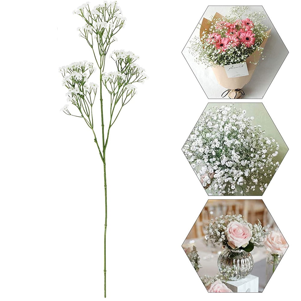 Preserved Baby's Breath Flowers | 50stems (Bulk Bundle) | Off-White, Cream  Marketplace Dried Florals by undefined