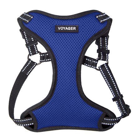 Voyager by Best Pet Supplies - Fully Adjustable Step-In Mesh Harness with Reflective 3M Piping  (Royal Blue  Large)