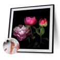 thumbnail image 3 of Cuadros Decorativos Kit de pintura al óleo de peonía herbácea china por números dibujo sin marco DIY (B2188) Wdftyju embutido en tela, 3 of 9