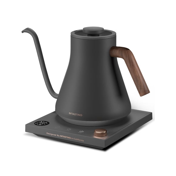 Hervidor eléctrico Intasting de cuello de cisne 0,9 L con control de temperatura