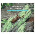 thumbnail image 4 of Kaplan Early Learning Company Back to Back Learning Kit - Incredible Insects, 4 of 7