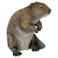 thumbnail image 3 of Design Toscano QM2447200 Standing Beaver Statue,full color, 3 of 7