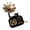 Black, variant on Nostalgic Melodies Player Small Hand Crank Gramophone Music Box Antique Aesthetic Ornament Living Room Bedroom Decors