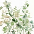 thumbnail image 2 of Robinson, Carol 15x15 White Modern Wood Framed Museum Art Print Titled - Sage Garden II, 2 of 4
