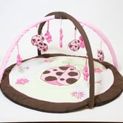 Ladybug Lucy Playgym