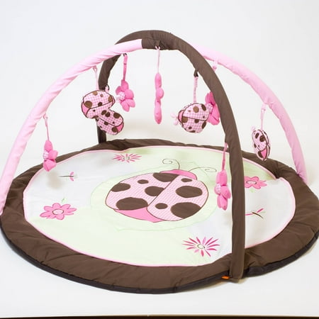 Ladybug Lucy Playgym