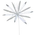 thumbnail image 1 of Semence de Fleur de Papyrus Blanc&44; 24 & 20 Po., 1 of 1