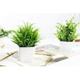 thumbnail image 6 of Der Rose 2-Pack Mini Artificial Potted Plants for Desk, Table, Home, Bathroom, or Office Decor., 6 of 9