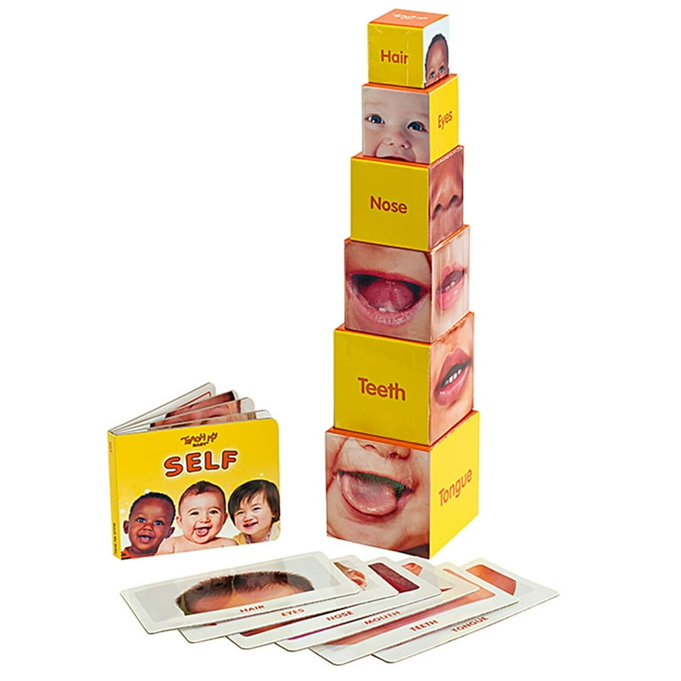Teach My 4種類 Teach My: Learning Kit - Baby - Screen Free Set, Numbers-Words