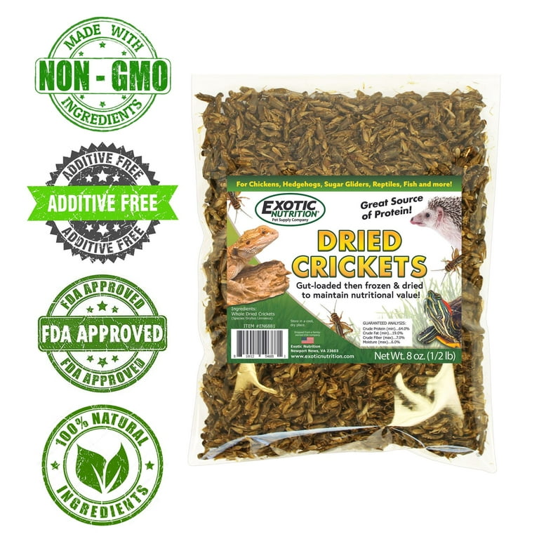 Exotic Nutrition Dried Crickets 8oz, Freeze Dried Cricket Food for
