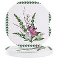 thumbnail image 1 of FMSHPON Plant Watercolor Flowers Spring Leaf Border Set of 6 Car Coaster for Drinks, Absorbent Ceramic Stone Coasters Cup Mat with Cork Base for Home Kitchen Room Coffee Table Bar Decor, 1 of 5