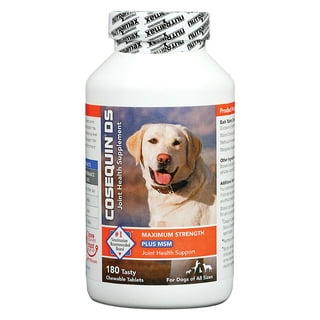 Glucosamine and msm outlet for dogs