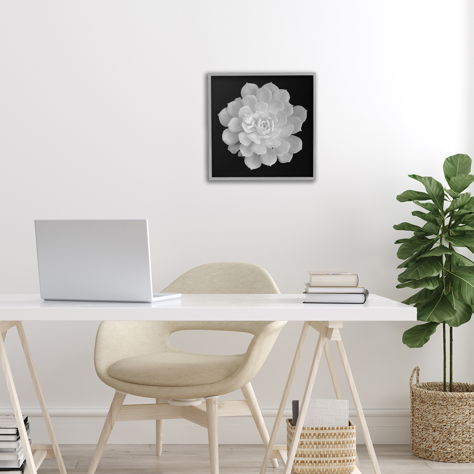 Pure White Succulent Contrast Gray Framed Giclee Art, design by Phillip Flowers