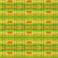 thumbnail image 1 of Ahgly Tapis d'Intérieur Lavable en Machine Carré Vert Caméléon, 8 Pieds Carré, 1 of 7