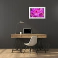 thumbnail image 3 of Horton, Janet 18x13 White Modern Wood Framed Museum Art Print Titled - Issaquah-Washington State-USA Deep Pink rhododendron in bloom, 3 of 4