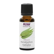 Maintenant, huile d'eucalyptus - 1 oz.