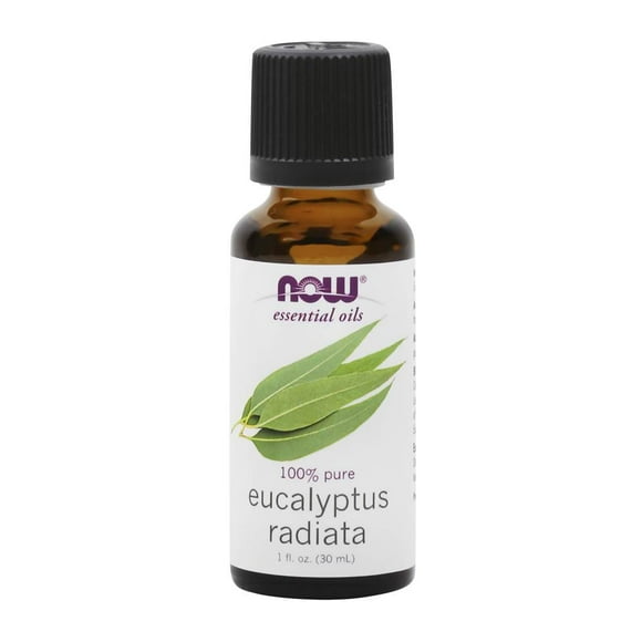 NOW Foods - NOW Essential Oil 100% Eucalyptus Radiata - 1 fl. oz.