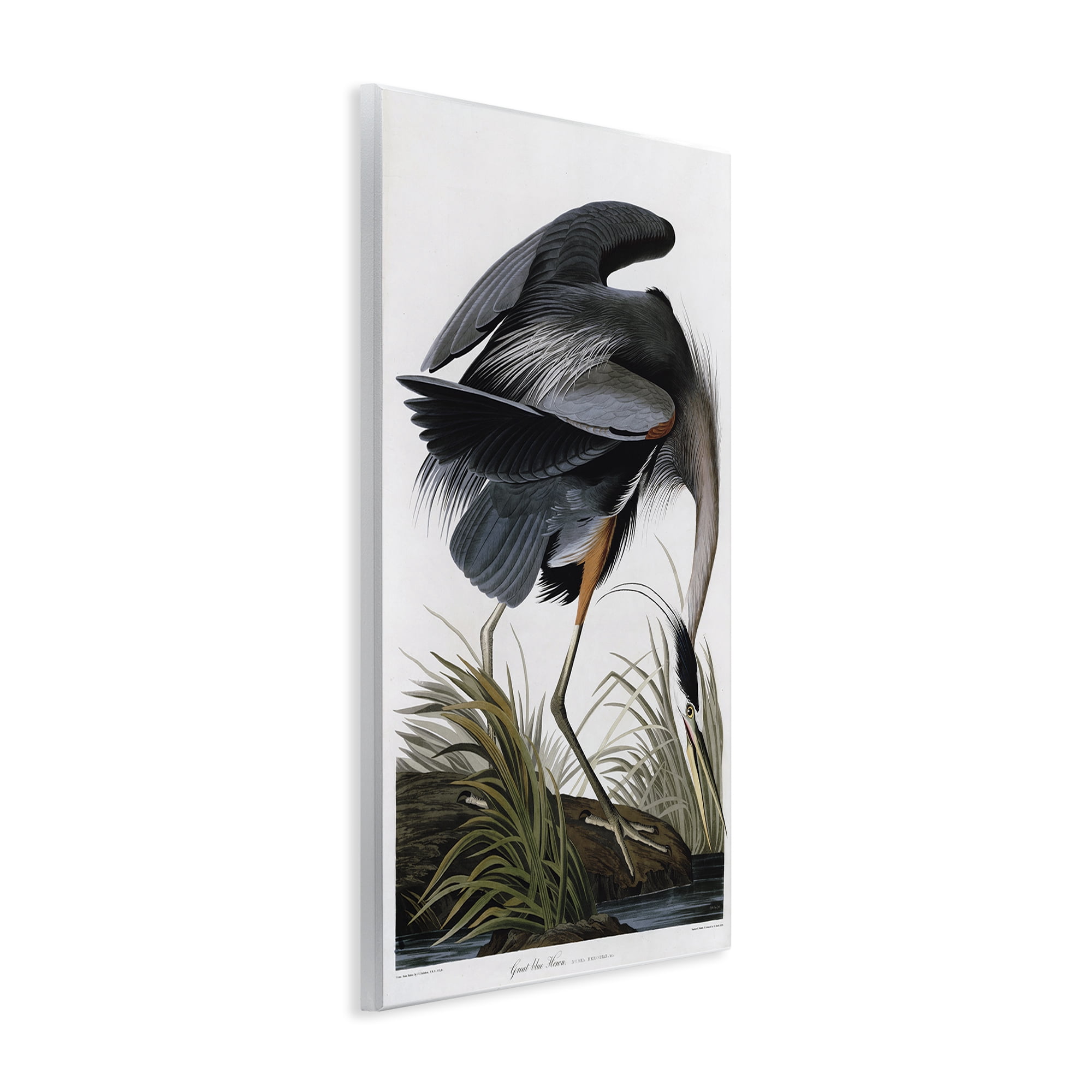 Stupell Industries Classic Heron at Lake Animals & Insects Painting Unframed Art Print Wall Art, 10 x 15