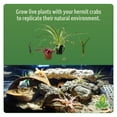 thumbnail image 5 of Josh's Frogs Hermit Crab BioBedding Bioactive Substrate (10 Quart (Sand Needed)), 5 of 7