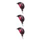 thumbnail image 1 of Sonducket Bonnet Hat Satén Pañuelo para la cabeza Gorro de dormir Envolturas para el cabello para mujeres Dormir Negro Type1 NO1, 1 of 6