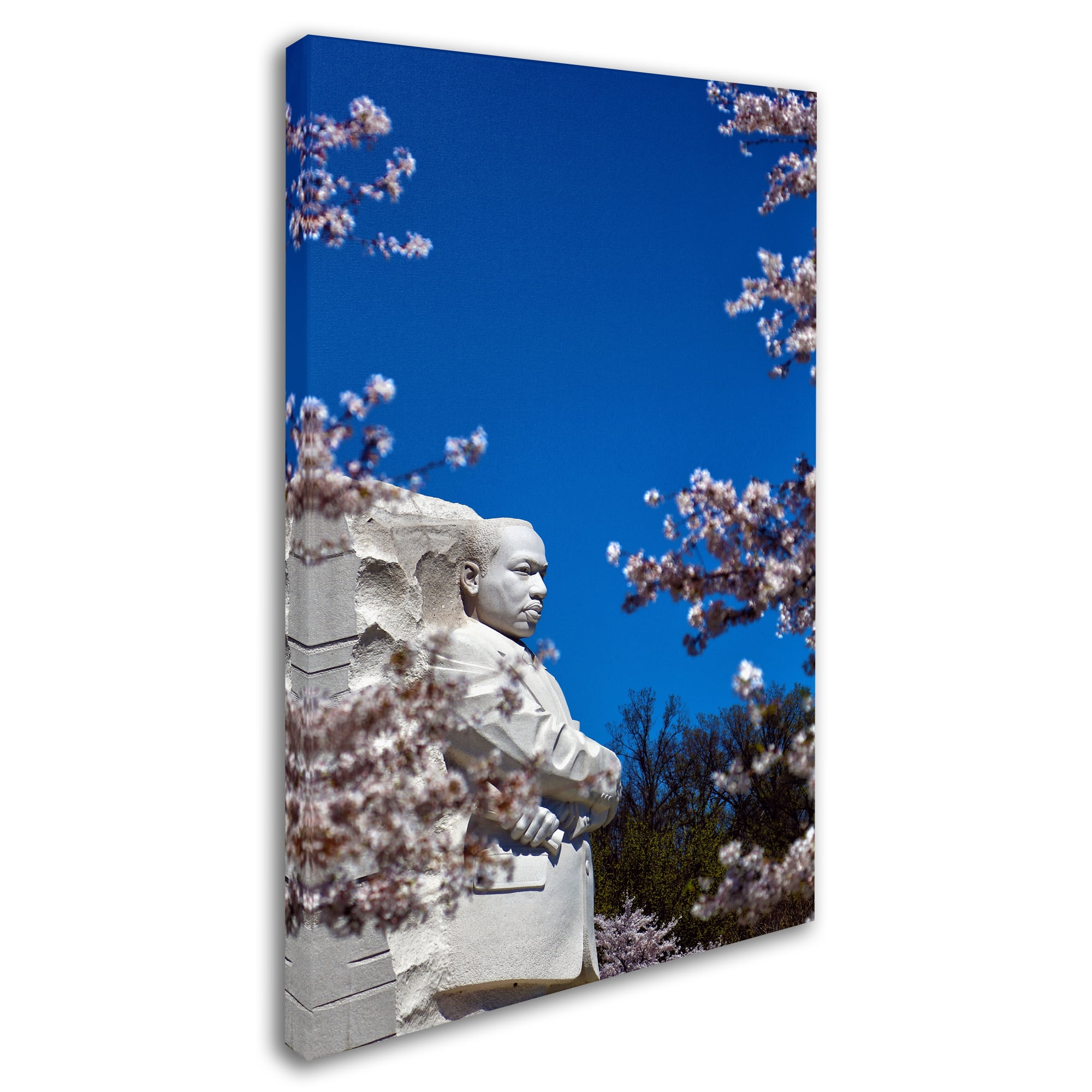 MLK Memorial II' Canvas Art by Mitch Catanzaro
