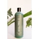 thumbnail image 4 of Shampoo Botánico Anticaída y Crecimiento Natural Avaloria 480 ML, 4 of 4