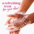 thumbnail image 6 of (4 pack) Dove Limited Edition Liquid Hand Soap Watermelon & Guava 12 fl oz, 6 of 14