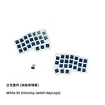 WCORNE V4.1 Wireless Split Ergonomic Keyboard, 2.4G VIAL Programmable Mechanical Keyboard with Hot-Swappable Switches