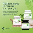thumbnail image 7 of Youtheory Spore Probiotic, 6 Billion CFU, 60 Capsules, 7 of 7