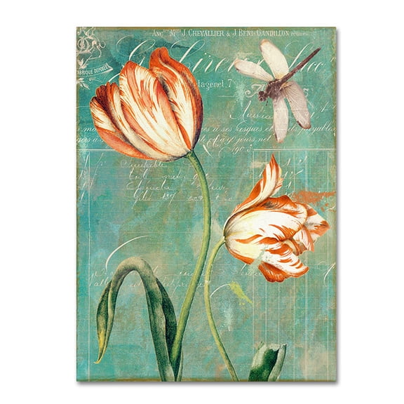 Trademark Fine Art "Tulips Ablaze I" Canvas Art by Color Bakery