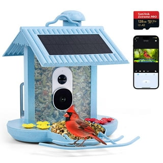 Whiterhino Smart Bird Feeder with Camera, Green Bird Buddy with Solar Panel  for Outside Watching 
