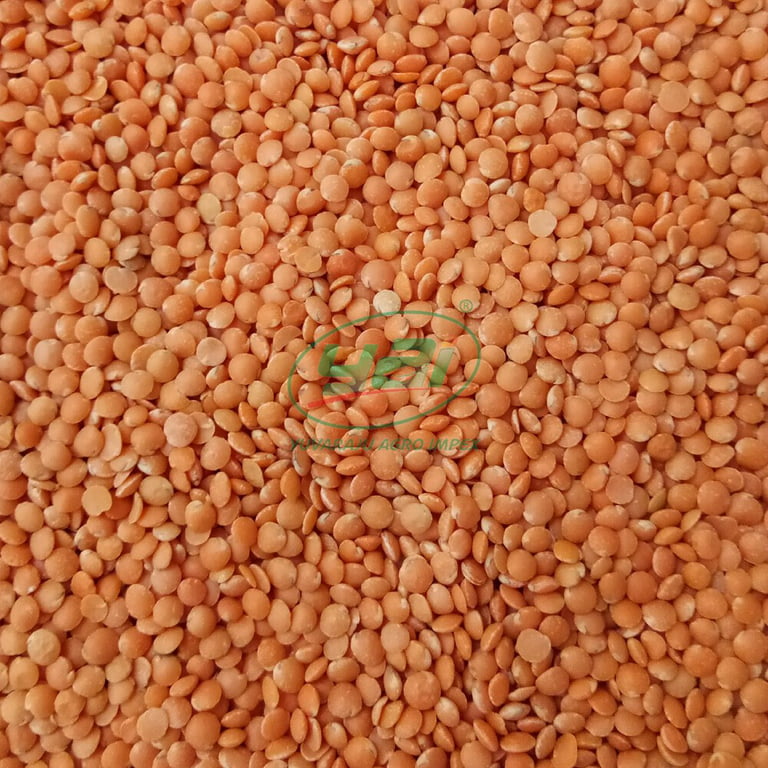 Ziyad - Beans Red Lentil - Case of 6 - 16 OZ, Case of 6/16 OZ - Metro Market