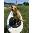 thumbnail image 2 of Better Surf...than Sorry Paddle with Your Dog Pup Deck SUP Traction Pad for Dogs Stand Up Paddleboard Deck Padding. Solid Piece with Paw Print Cutouts, 2 of 4