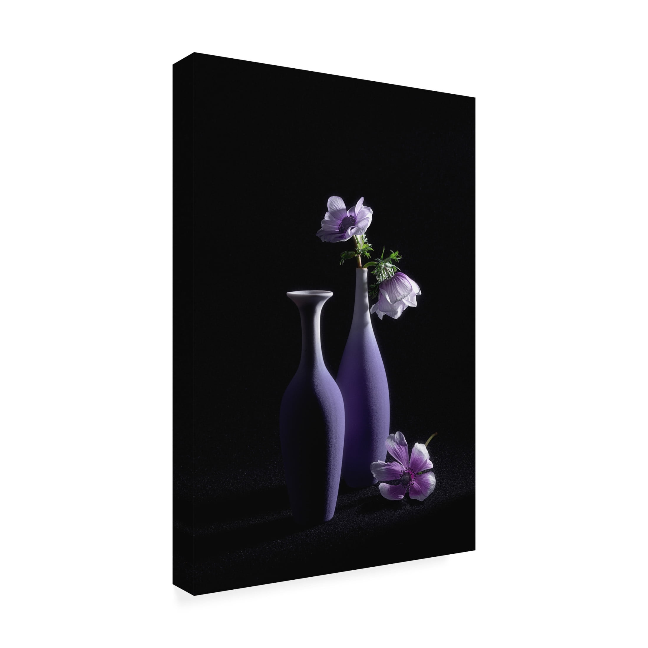 Trademark Fine Art Lydia Jacobs Pretty Violet Theme Canvas Wall Art