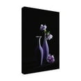 thumbnail image 2 of Trademark Fine Art Lydia Jacobs Pretty Violet Theme Canvas Wall Art, 2 of 4