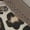 Light Iron Ore/Black/Moon Fossil, variant on Men's Kyrie Infinity Future Past Basketball Shoes, from StockX