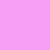 Pink Purple