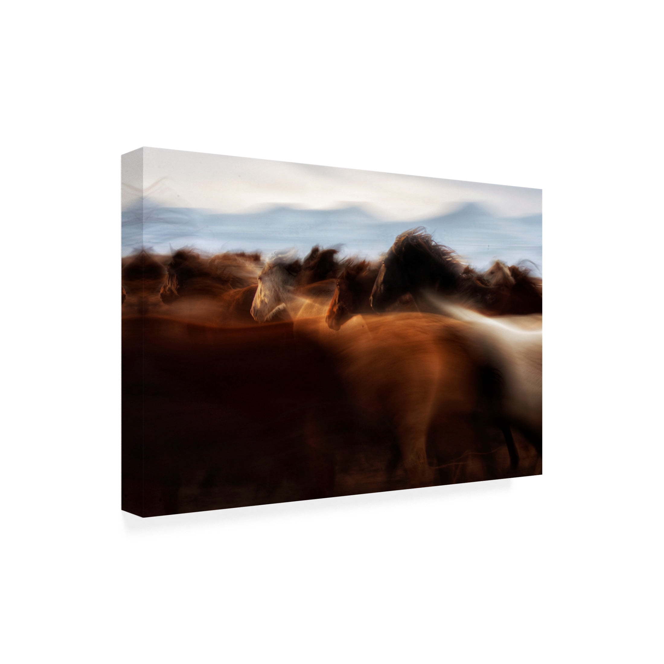 Trademark Fine Art Timur Turkmen The Spirit Of Freedom Canvas Wall Art
