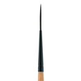 thumbnail image 1 of CEPILLO DIXON TIC/PRINCETON DIXON TIC/PRINCETON BRUSH  PB6450L4, 1 of 1