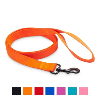 Vibrant Life 5' Nylon Metal Standard Dog Leash, Hunter Orange, L