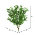 thumbnail image 2 of Vickerman 20" Artificial Green Mini Smilax Bush Featuring 14 Banches with 273 Leaves, 2 of 4